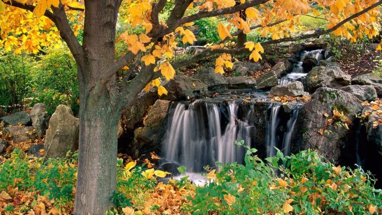 Золотая осень