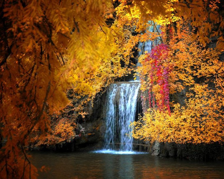 Осенний пейзаж живой
