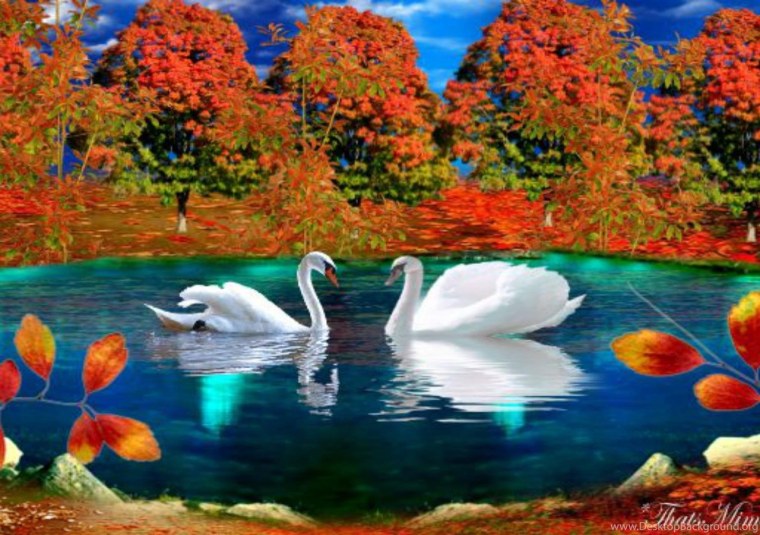 Осенние живые обои