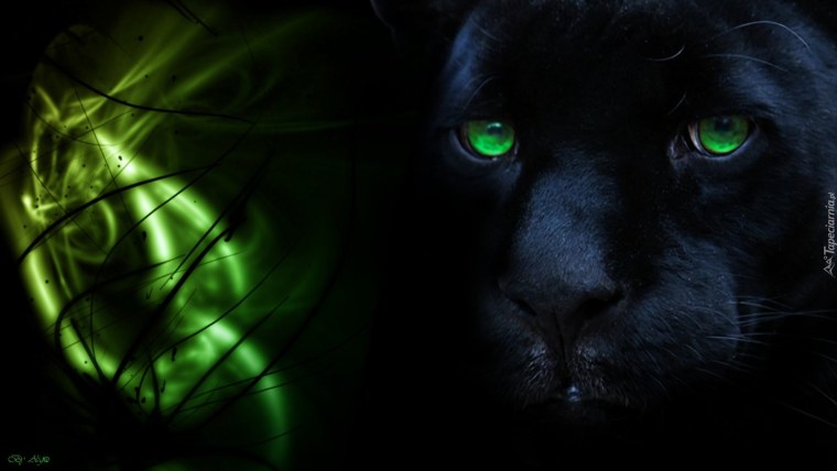 Пантера с зелеными глазами