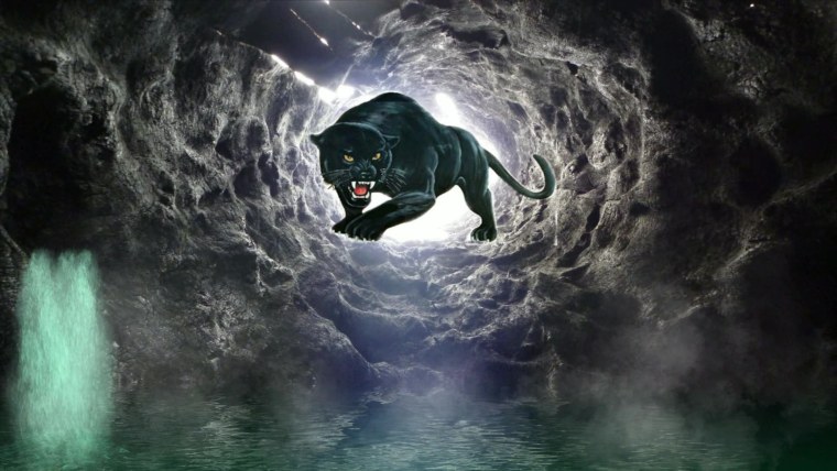 Пантера Шварцера» (2014; черная пантера )