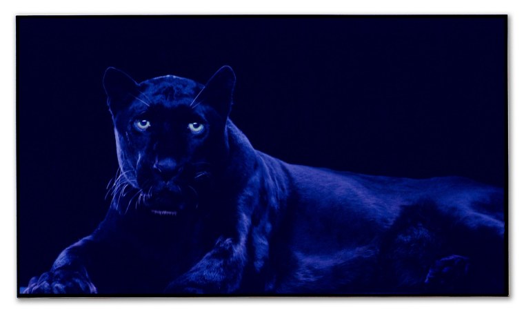 Блэк Леопардс