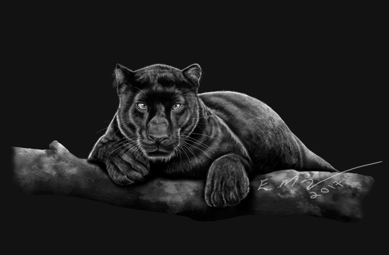 Дымчатый леопард меланист