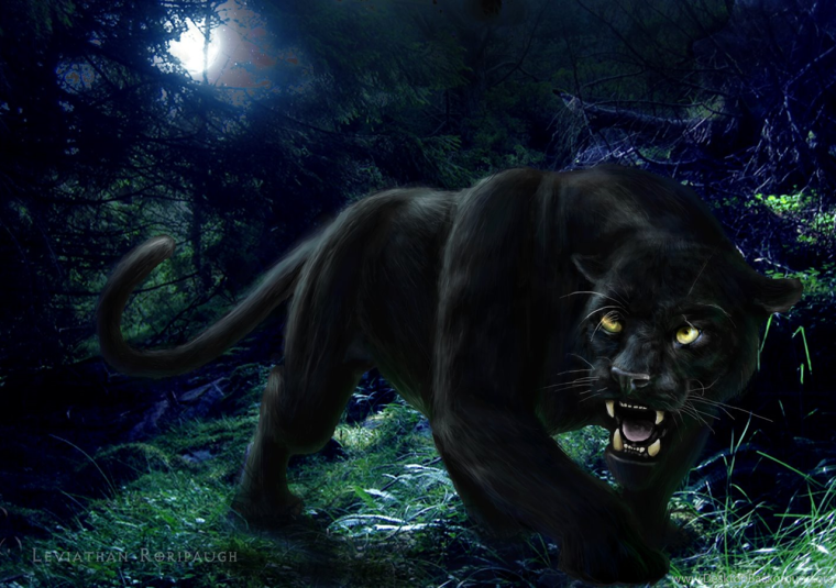 Картинки на телефон пантера