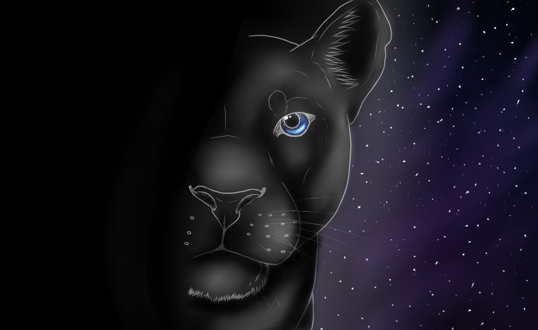 Животные на черном фоне