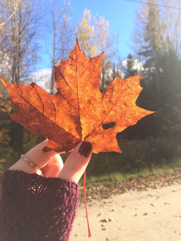 Листья фото