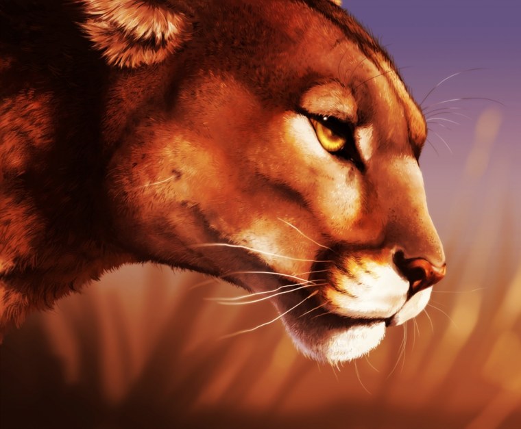 Львица фото