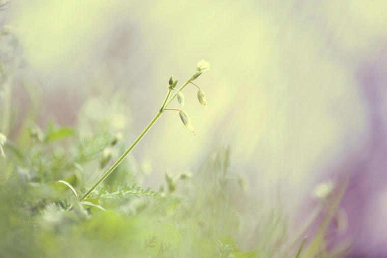 Спокойные пастельные тона