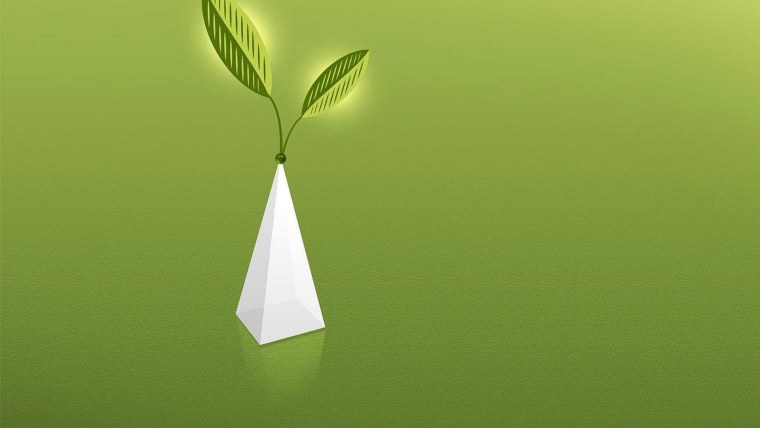 Листья Минимализм