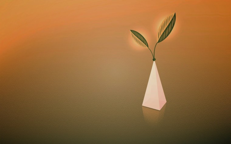 Экология Минимализм