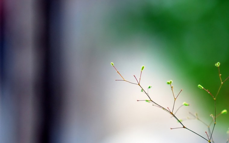 Картинки на рабочий стол Весна