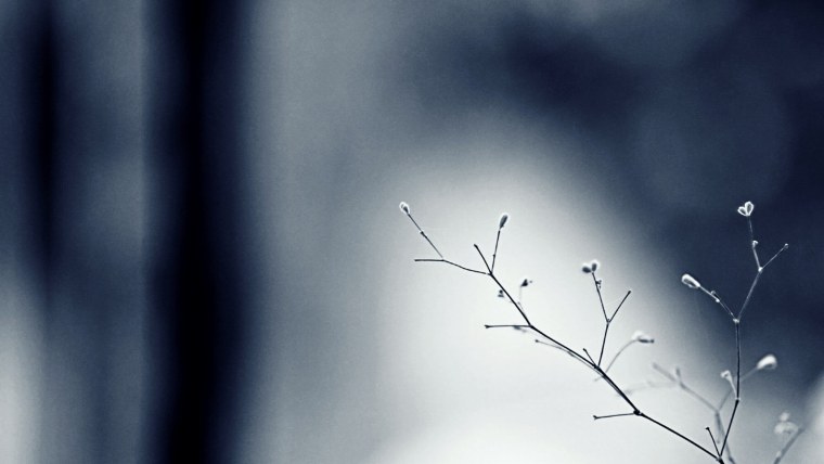 Весна Минимализм