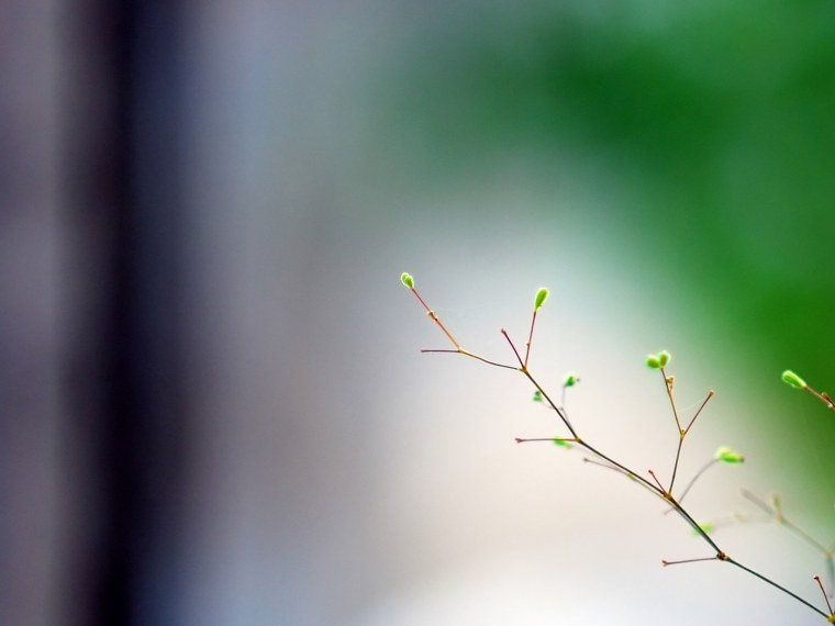 Обои на рабочий стол Минимализм природа