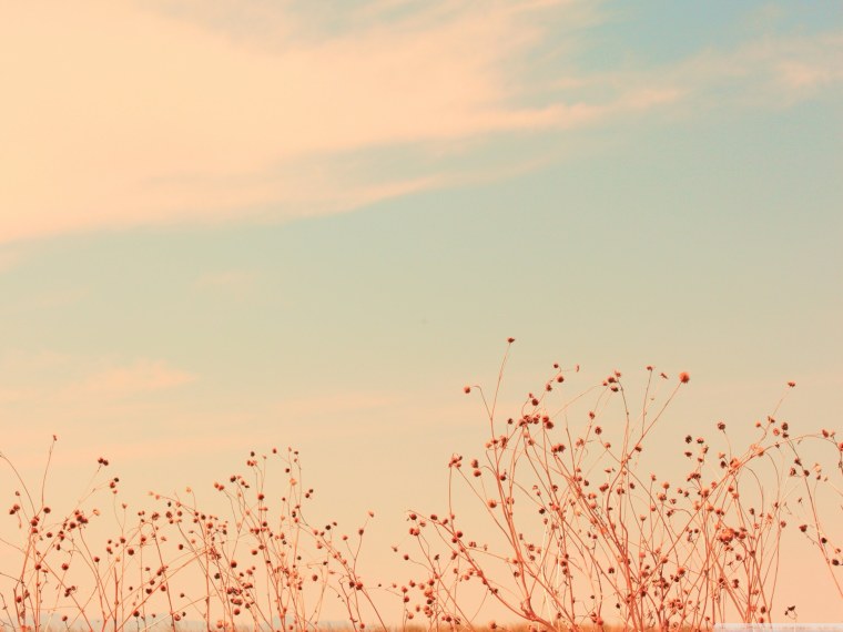 Красивый фон в пастельных тонах