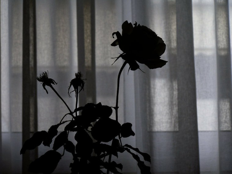 Грустная Эстетика