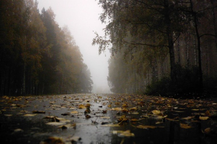 Серая осень