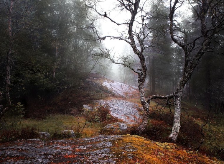 Осенний пейзаж Эстетика