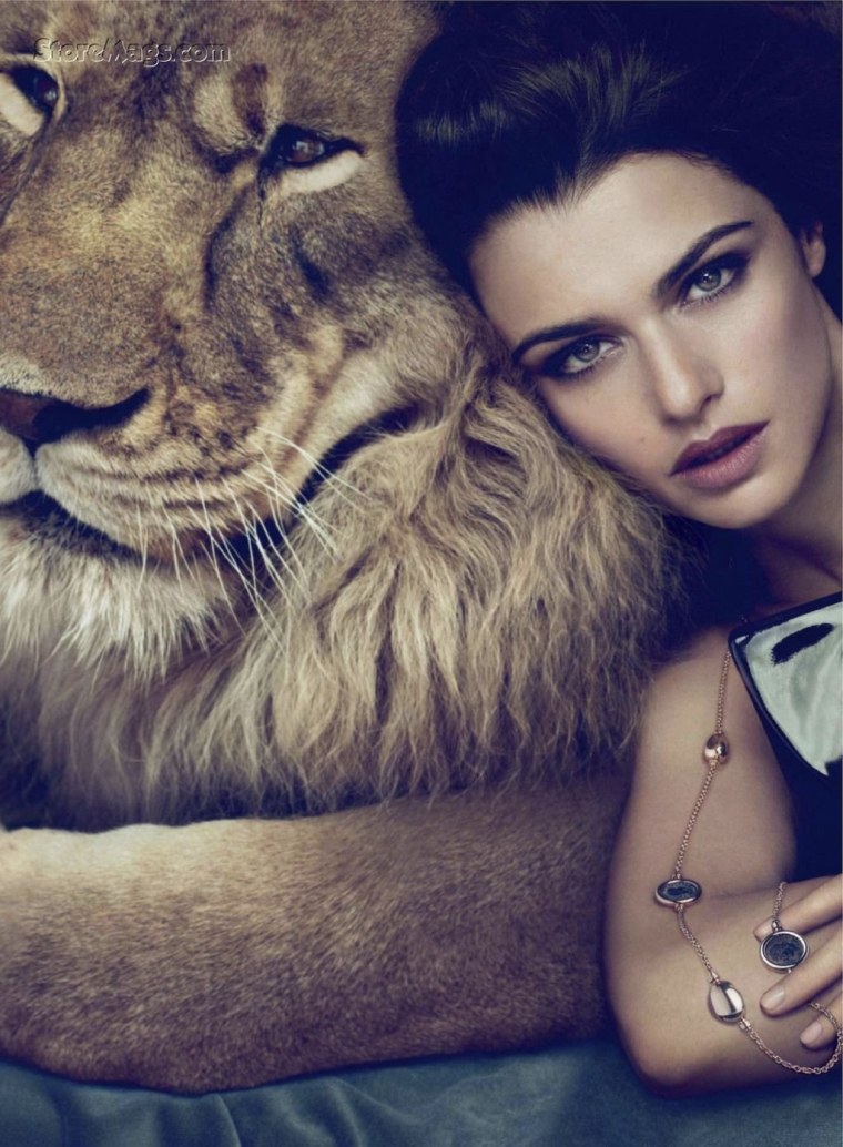 Фотосессия со львом