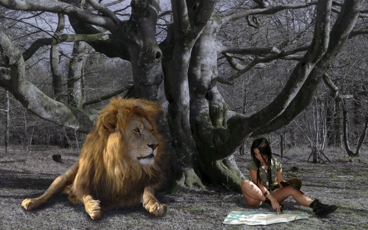 Фотограф Duong Quoc dinh