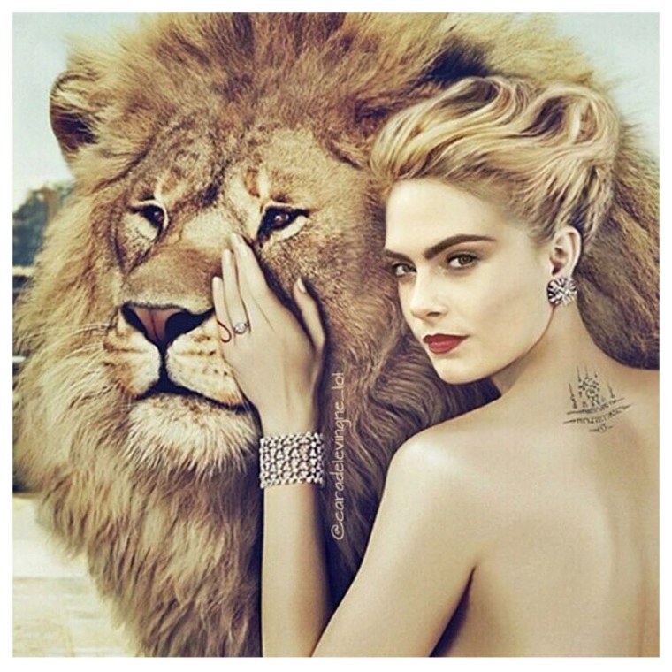 Фотосессия со львом