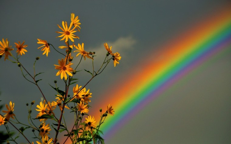 Эстетика цвета радуги