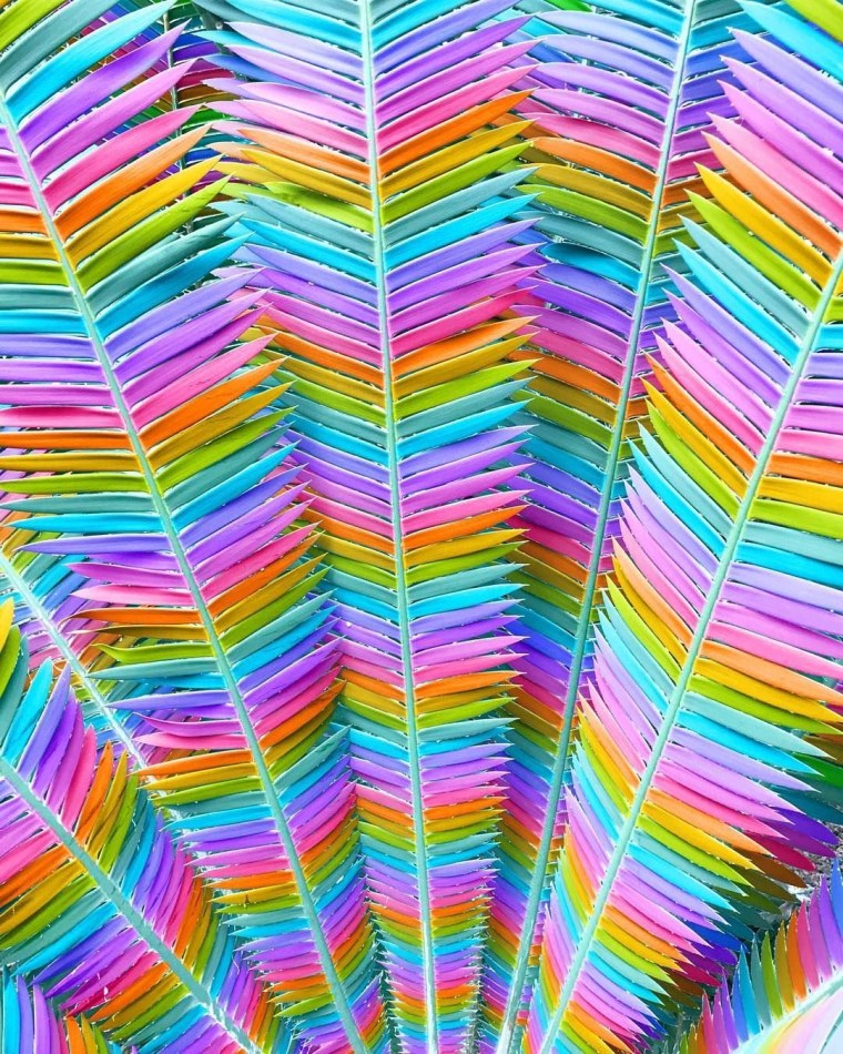 Эстетика радуги