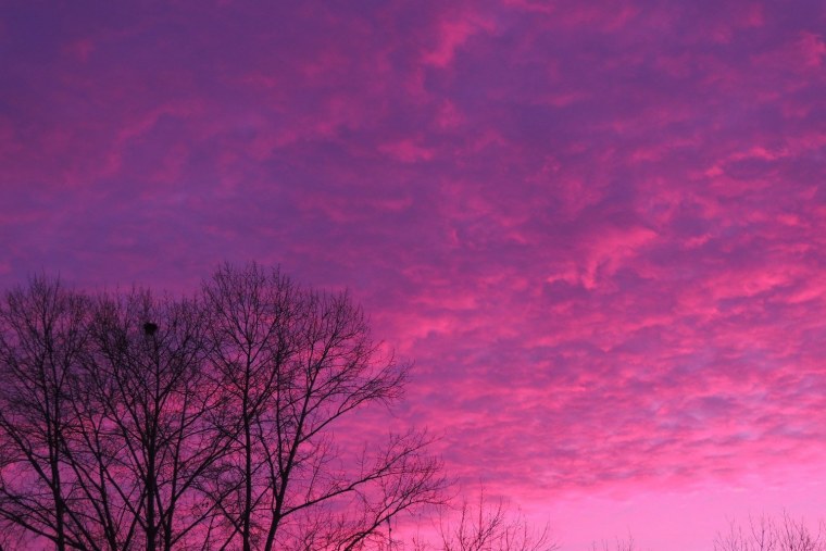 Розовое облако