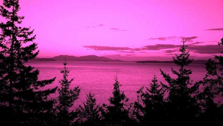 Розовый закат