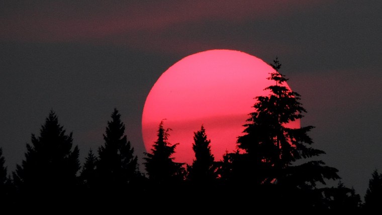 Твайлайт Сумеречный рассвет