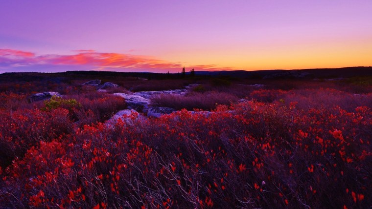 Озеро малиновые вечера