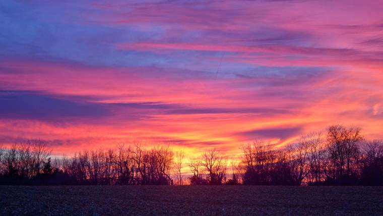 Перпл Бич 2022