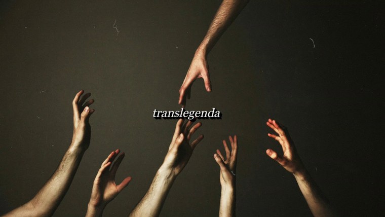 Эстетика недоверия