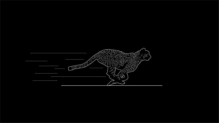 Минимализм на черном фоне