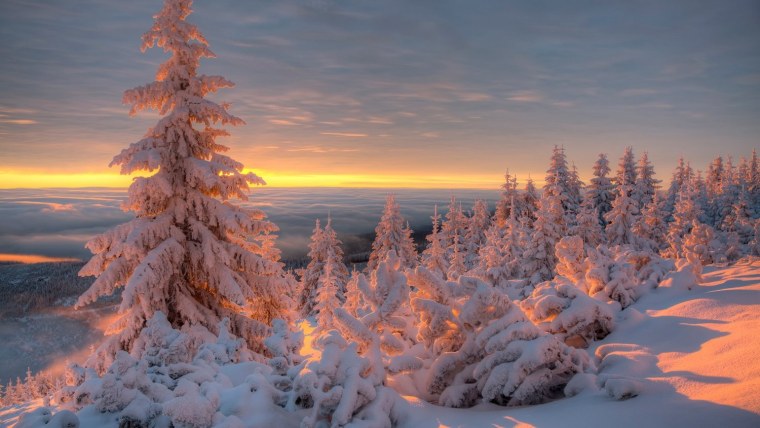 Зимний пейзаж