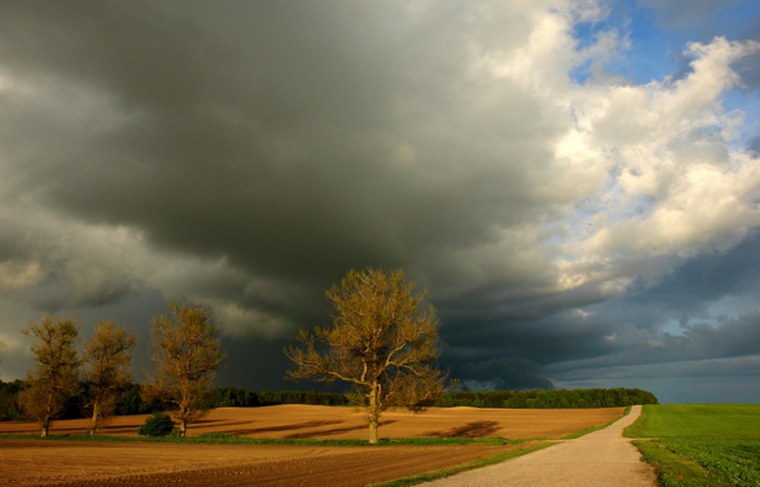 Июньская гроза в Крыму, природа