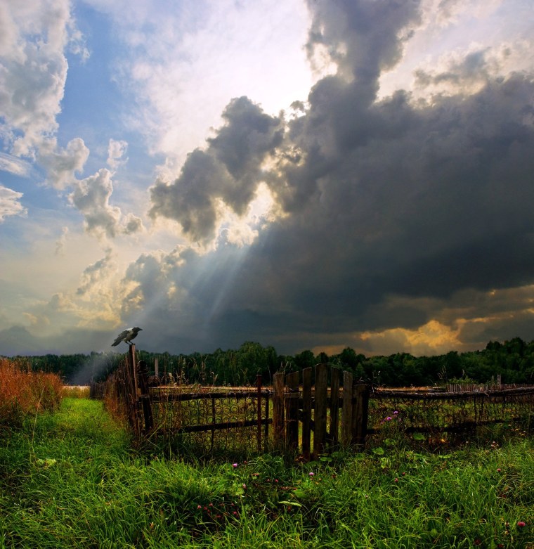 Перед дождем фото