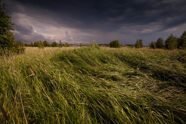 Поле перед грозой