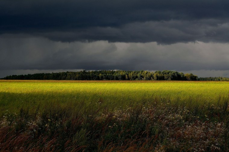 Природа перед грозой