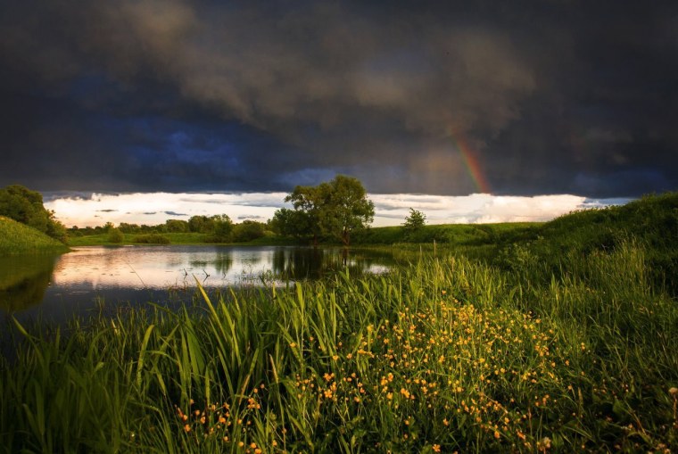 Перед грозой