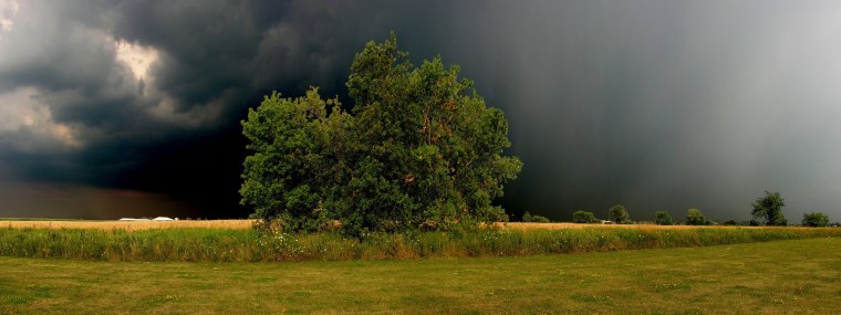 Летняя гроза в лесу