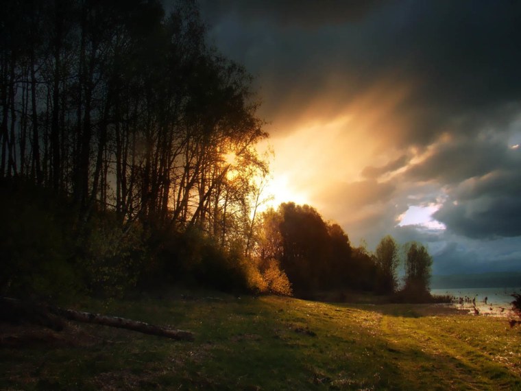 Пасмурный луг