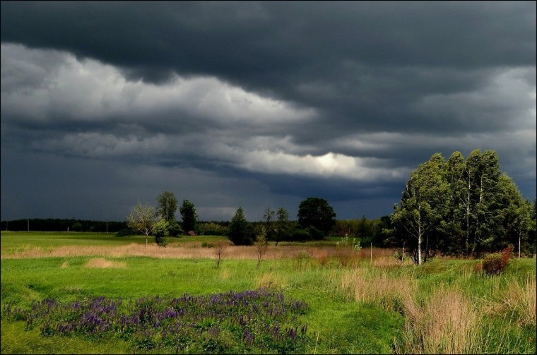 Русская деревня перед грозой
