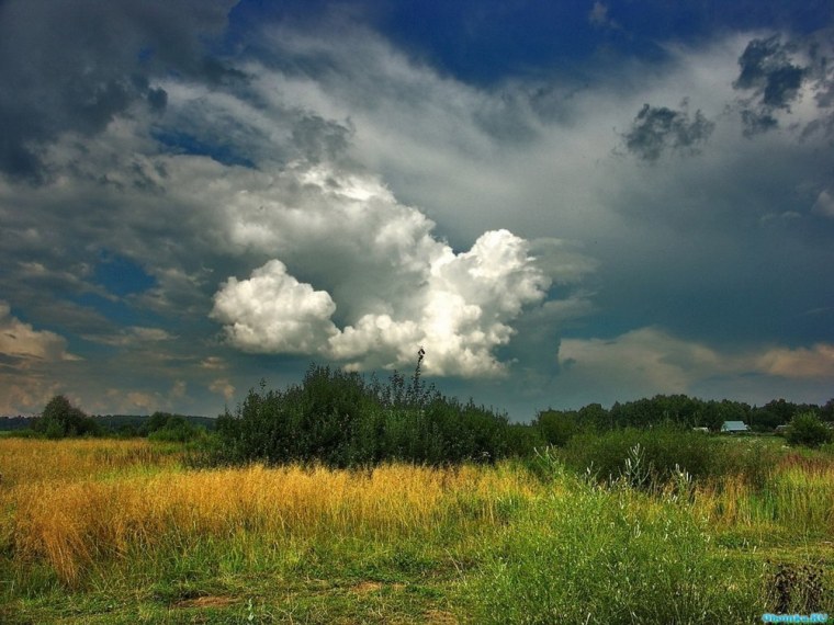Перед грозой