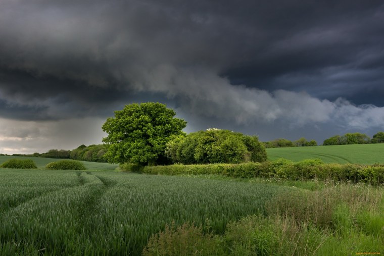 Природа после грозы