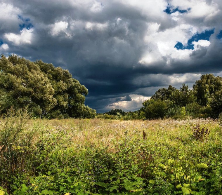 Пасмурный пейзаж