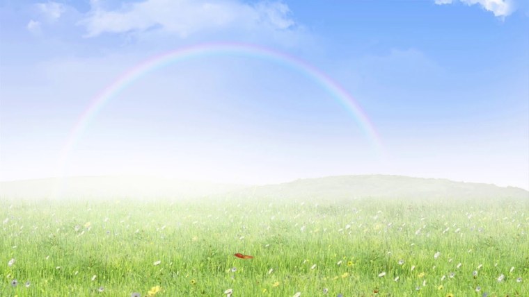 Летние Луга