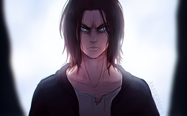 Микаса Аккерман с длинными волосами арт