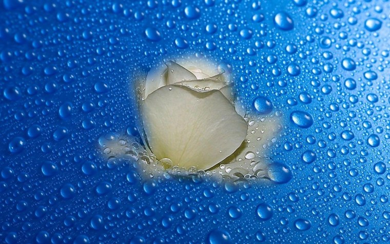 Обои капельки воды