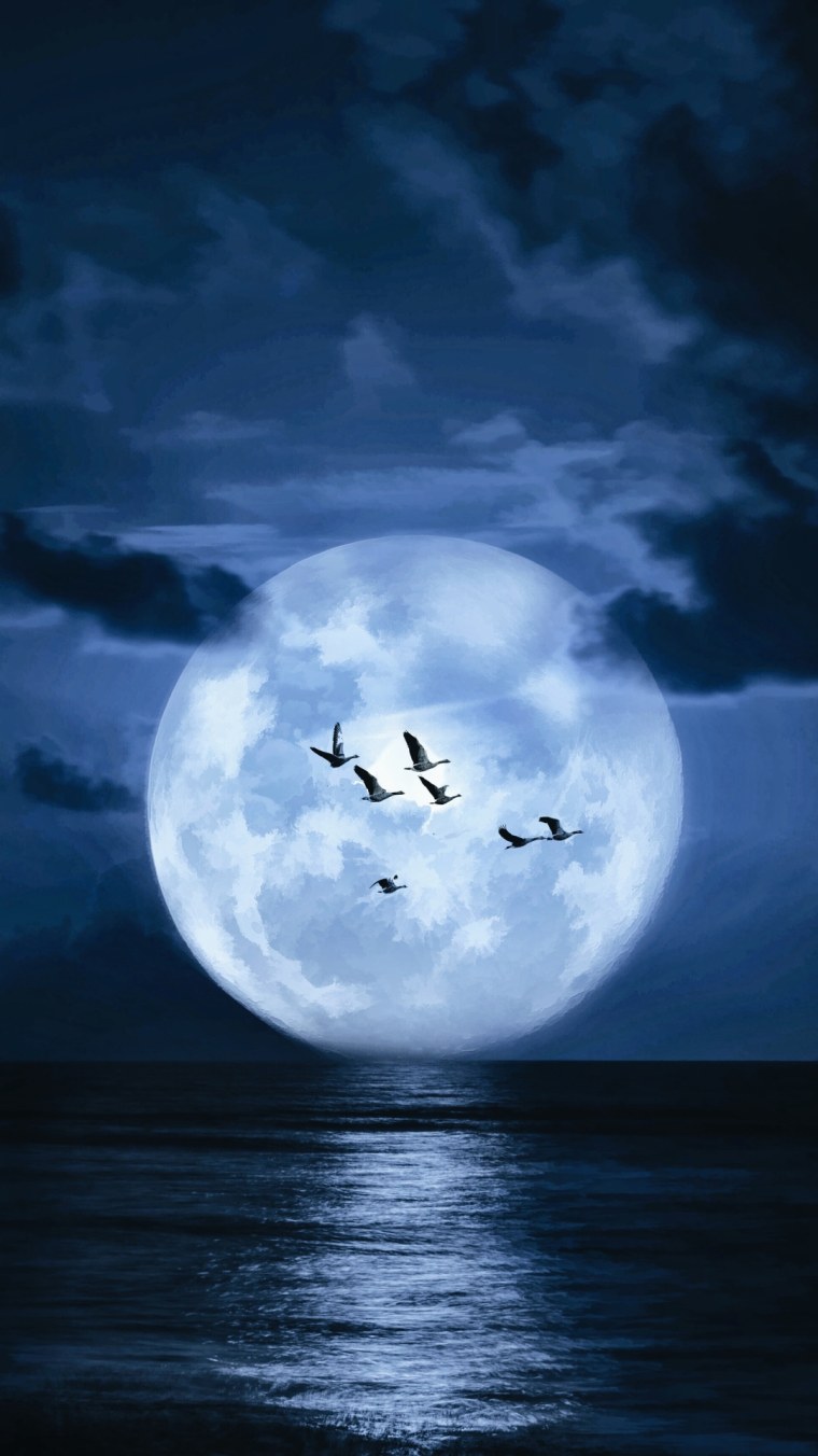 Природа космос