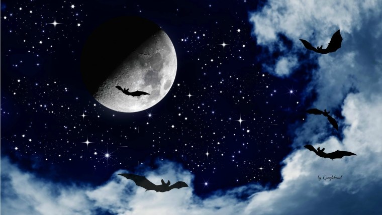 Красивое ночное небо со звездами и луной